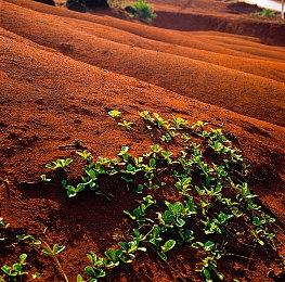 轻松突破限制 玩家自制《艾尔登法环》帧率解锁MOD